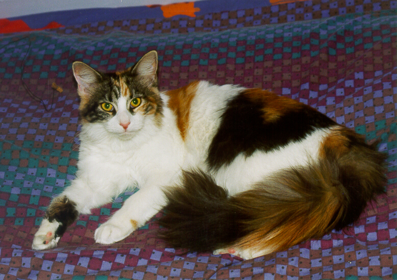 Xandria On Bed